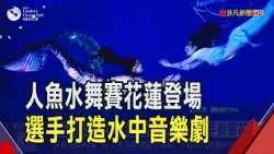 80 Mermaids from Taiwan, Japan, Korea, and Beyond Gather in Hualien! Complete Scripts, Costumes, ...