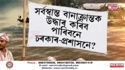 উজনিৰ চৰাইদেউ, শিৱসাগৰ, যোৰহাট, গোলাঘাটত বানৰ ভয়ংকৰ বিভীষিকা