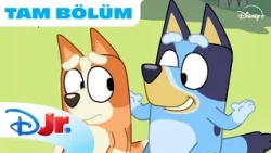 Bluey: Balon Oyunu | Bluey | @DisneyPlusTR