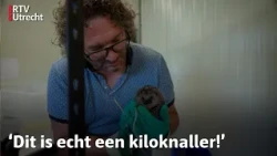 Zo vangt deze stichting zielige egeltjes op | Mijn Mooiste Plek #1