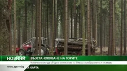 ВЪЗСТАНОВЯВАНЕ НА ГОРИТЕ: Човечеството да обърне внимание на биоразнообразието и климата