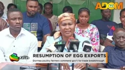 Resumption of Egg Exports: Dormaa poultry farmers commend gov't for trade breakthrough -Evening News