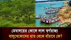 The Country's Largest Shimul Forest Facing Extinction: Can It Be Saved? | Bangla TV