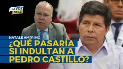 Natale Amprimo on PARDON FOR PEDRO CASTILLO: "Balcázar and ministers could face charges"