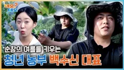 Have you tried these home-grown blueberries🫐? Meet 'Young Farmer Baek Su-shin', growing the summe...