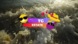 Summer News for 07/13/2026