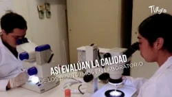 This Is How Bio-input QUALITY Is Evaluated in the Laboratory - TvAgro by Juan Gonzalo Angel