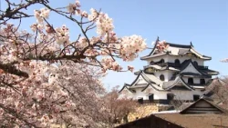 Hikone Castle Moves Toward World Heritage Status